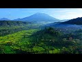 KEPADA ANGIN DAN BURUNG - BURUNG - FRANKY & JANE   LIRIK