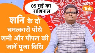 शनि के दो चमत्कारी पौधे शमी और पीपल की जानें पूजा विधि | Shailendra Pandey | AstroTak