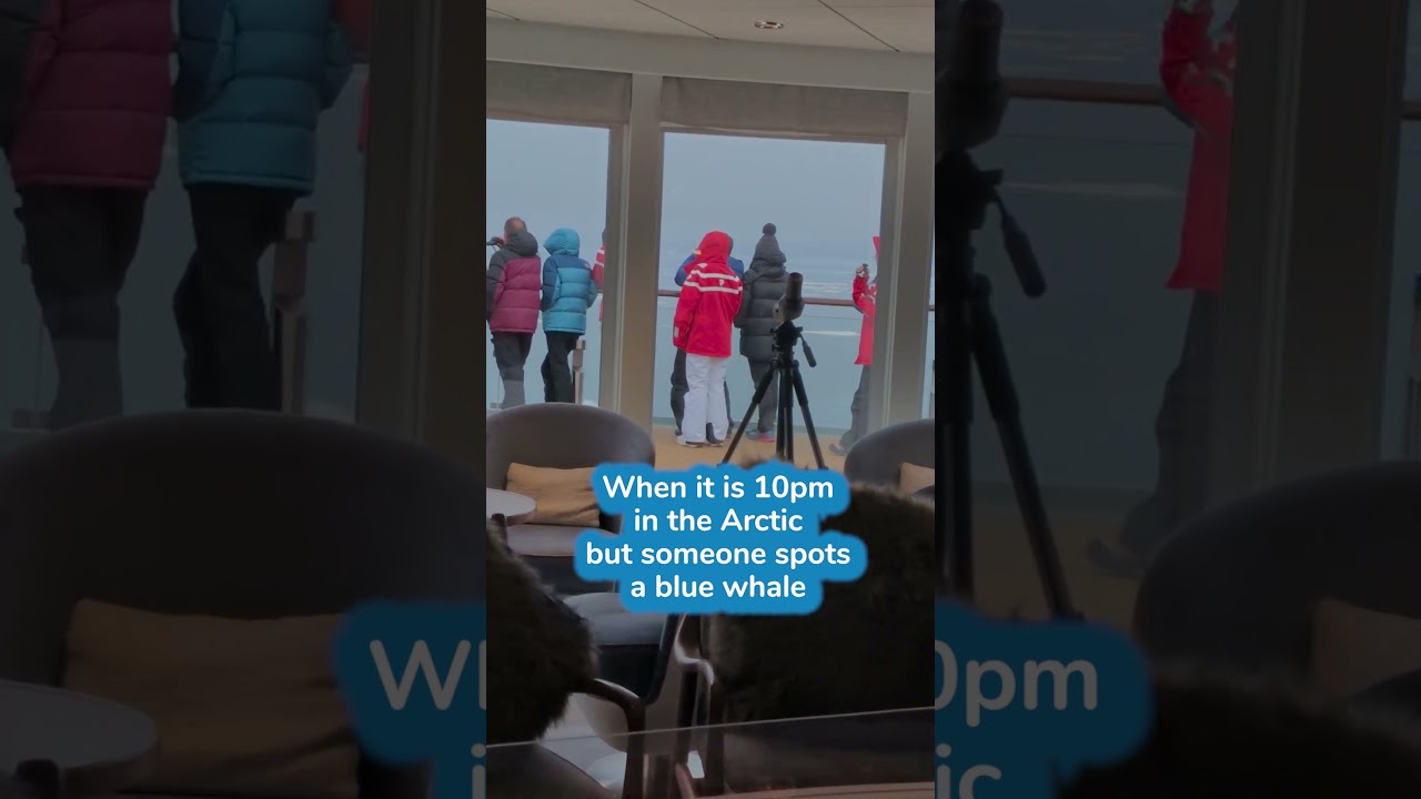 Bedtime in the Arctic - Blue Whale Spotted