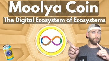 Moolyacoin- A Platform for the Digital Startup Ecosystem!