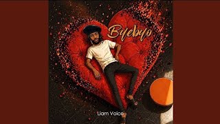 Byebyo  - Liam Voice video lyrics [Visualizer]