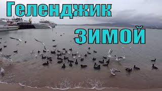 Зима в Геленджике ❄️☀️💦Готовимся к Новому Году 🎁 Полезные Рецепты: Мюсли 🥣 Печенье 🍪Торт 🍰 #ЖзК Зима в Геленджике ❄️☀️💦Готовимся к Новому Году 🎁 Полезные Рецепты: Мюсли 🥣 Печенье 🍪Торт 🍰 #ЖзК