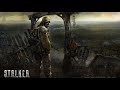 S.T.A.L.K.E.R. - All Guitar Songs