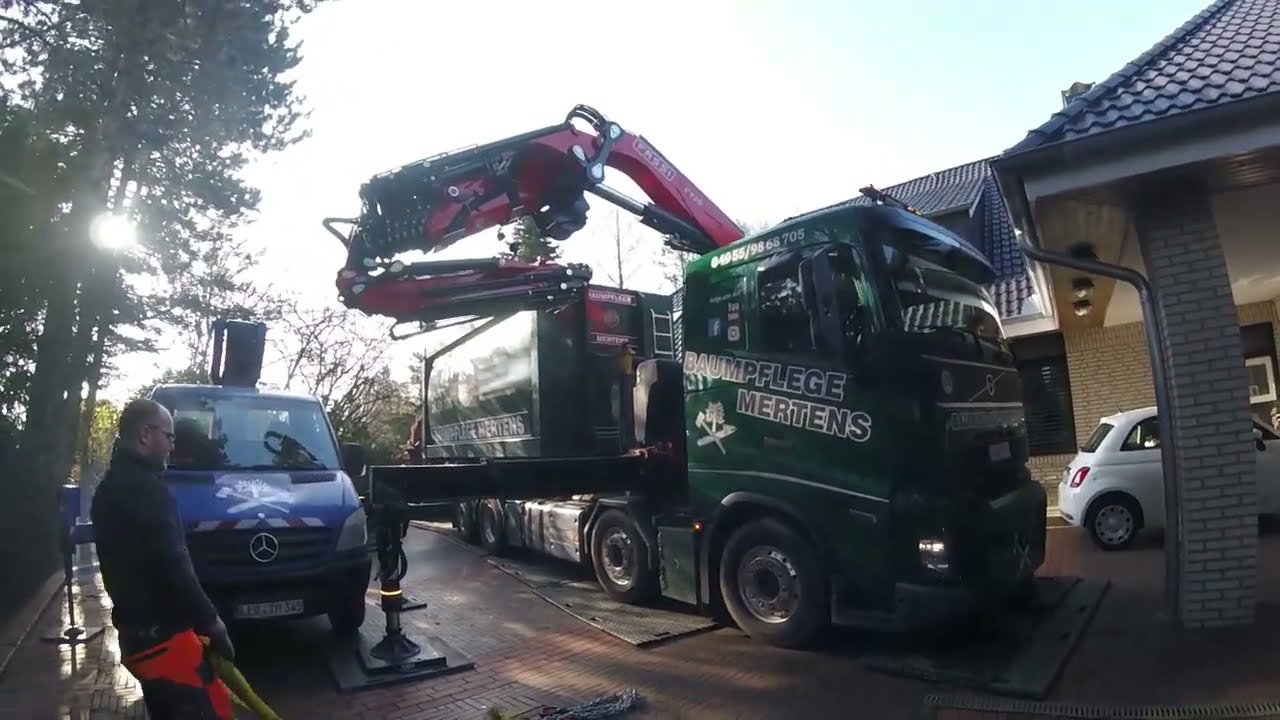Was hab ich mir dabeigedacht? Das musste ja schief gehen! Baustelle unmöglich!  tree work,tree fail!