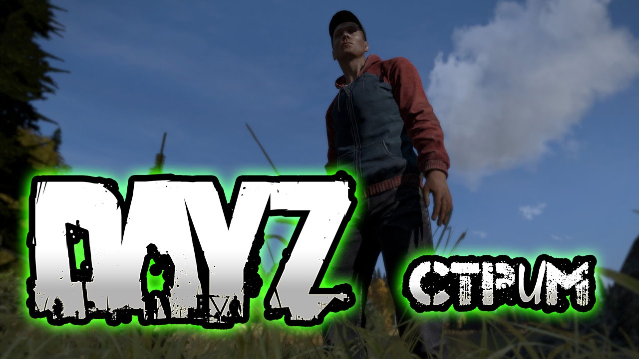 08.11.2014 СУББОТНИЙ СТРИМ | Day Z Standalone