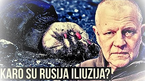 Karo iliuzija? Andrej Sildiajev