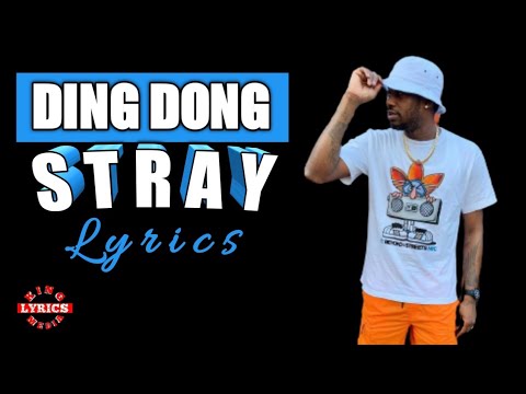 Ding Dong Stray Lyrics Youtube Ding Dong Stray Lyrics Youtube