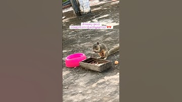 Daily I do ❤️❤️  #views