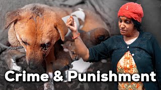 We want justice for this dog | Is this dog menace or human cruelty?