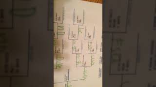 ACC Tournament bracket review