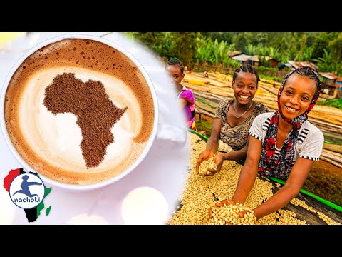 Top 10 African Countries with the Best Coffee in the World