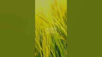 سورة الملك تلاوة تريح القلوب 💔🩶 #قرآن #قران_كريم #اكسبلور #راحة_نفسية #flowers #fyp #foryou #لايك