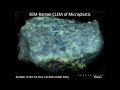 [Life] SEM-Raman CLEM of a Microplastic (MP)