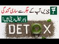 7 ways to naturally detox your liver urdu hindi  urdu lab