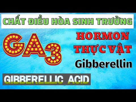 Video: 4 cách để tăng GABA