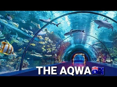 AQWA Underwater Aquarium Tour. Excellent place to visit on weekend in Perth AUSTRALIA #travelvlog