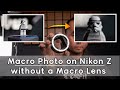 Macro photography without macro lens on Nikon Z (with autofocus) - Meike MK-Z-AF1 Review