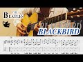 BLACKBIRD【ブラックバード】THE BEATLES - Guitar Cover + TAB