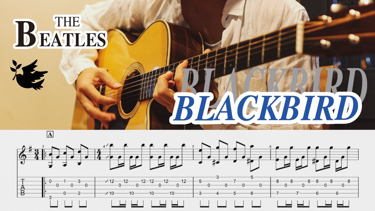 Blackbird ブラックバード The Beatles Guitar Cover Tab Youtube