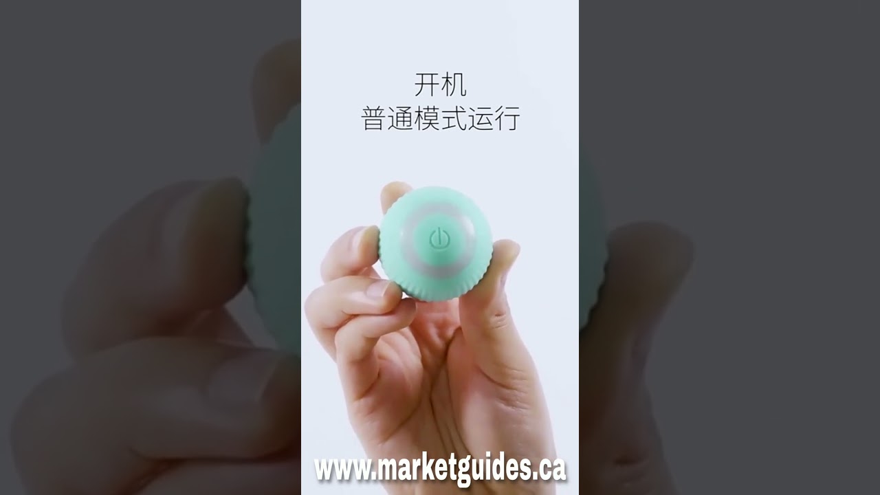 Smart Cat Toy Made Using Create Studio Pro