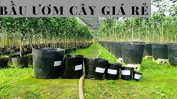 TÚI BẦU ƯƠM CÂY GIÁ RẺ NHẤT 2024 , ĐỘ BỀN LÊN ĐẾN 4-5 NĂM || VTNNKC 0988015061