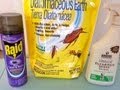 How To Kill Fleas In Carpet
