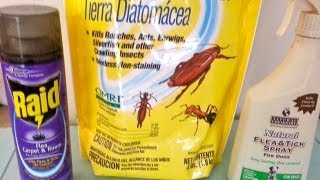 The most effective way to kill fleas on carpet under 30 dollars!!! i
tried many different products and nothing seemed work. wasted a lot of
money en...
