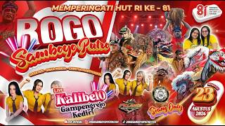Live Rogo Samboyo Putro Kalibelo Gampengrejo Kediri Ft Pelangi Audio