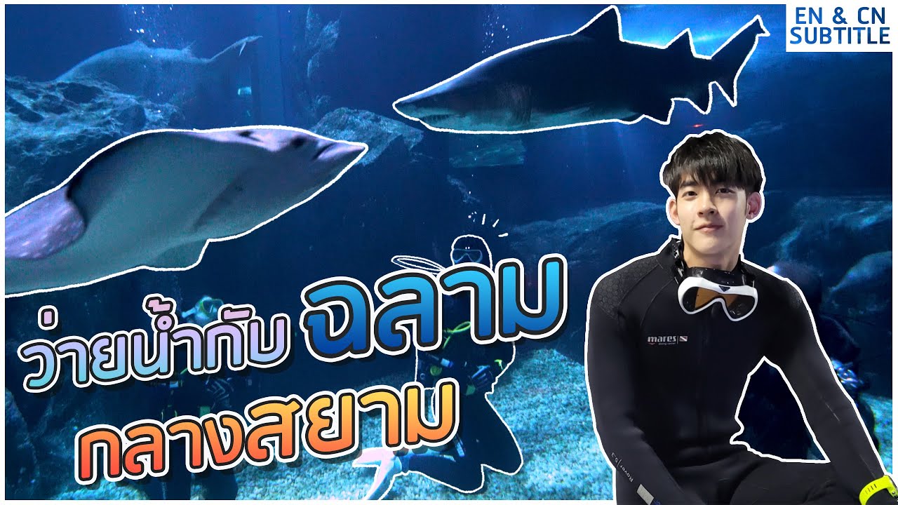 ว่ายน้ำกับฉลาม กลางสยาม | Dive with Sharks at Siam [Sub Thai / Eng / Chinese]