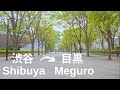 Shibuya to Meguro by Bike - 渋谷から目黒 まで自転車で - #4k #tokyo #japan