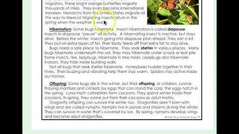 Where do bugs go in the winter? Read Aloud