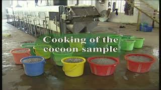 General Sericulture  Cocoon testing and grading