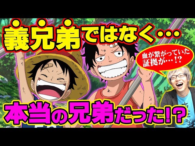 Consideration] Are Luffy and Ace really blood-related brothers 