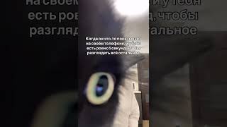 Самые ответственные 5 секунд в жизни