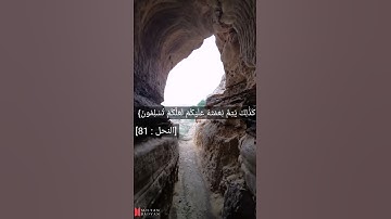 سورة النحل الآيه 81  القارئ أحمد العجمي