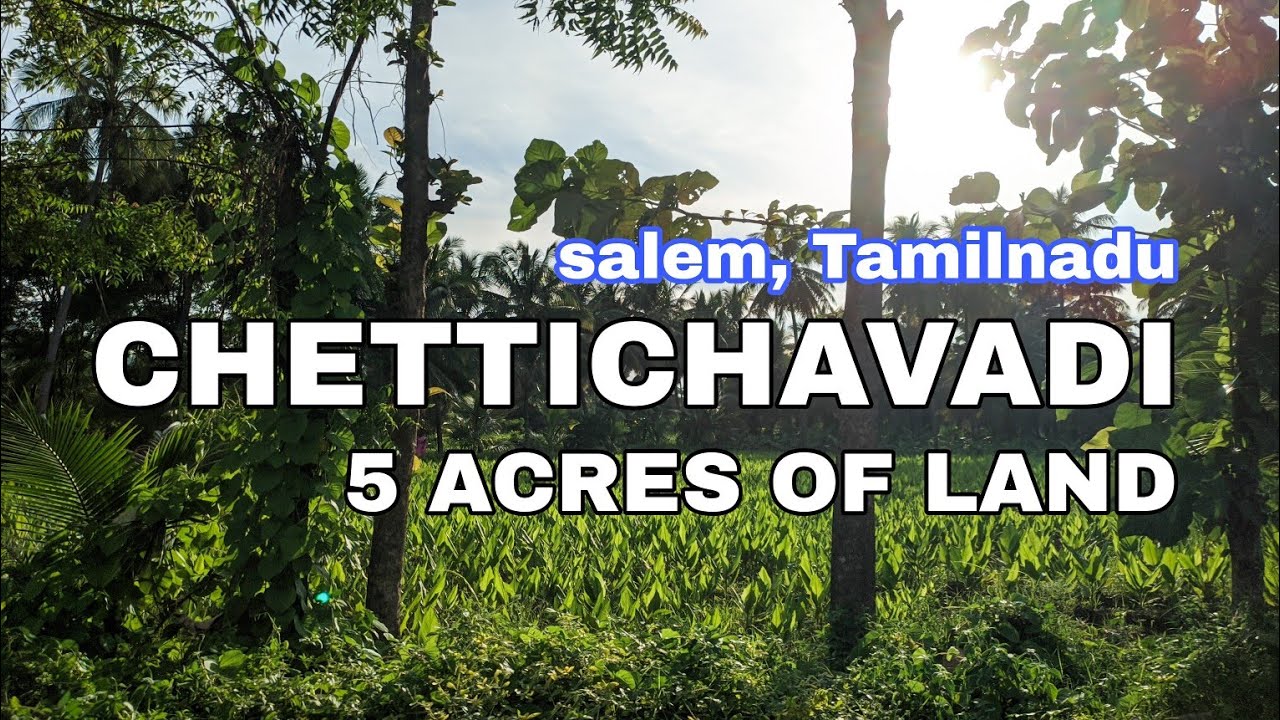 5 Acres Land For sale Chettichavadi Salem புஞ்சை நிலம் salem 