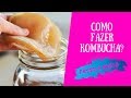 Como Fazer Kombucha? (Passo a Passo)