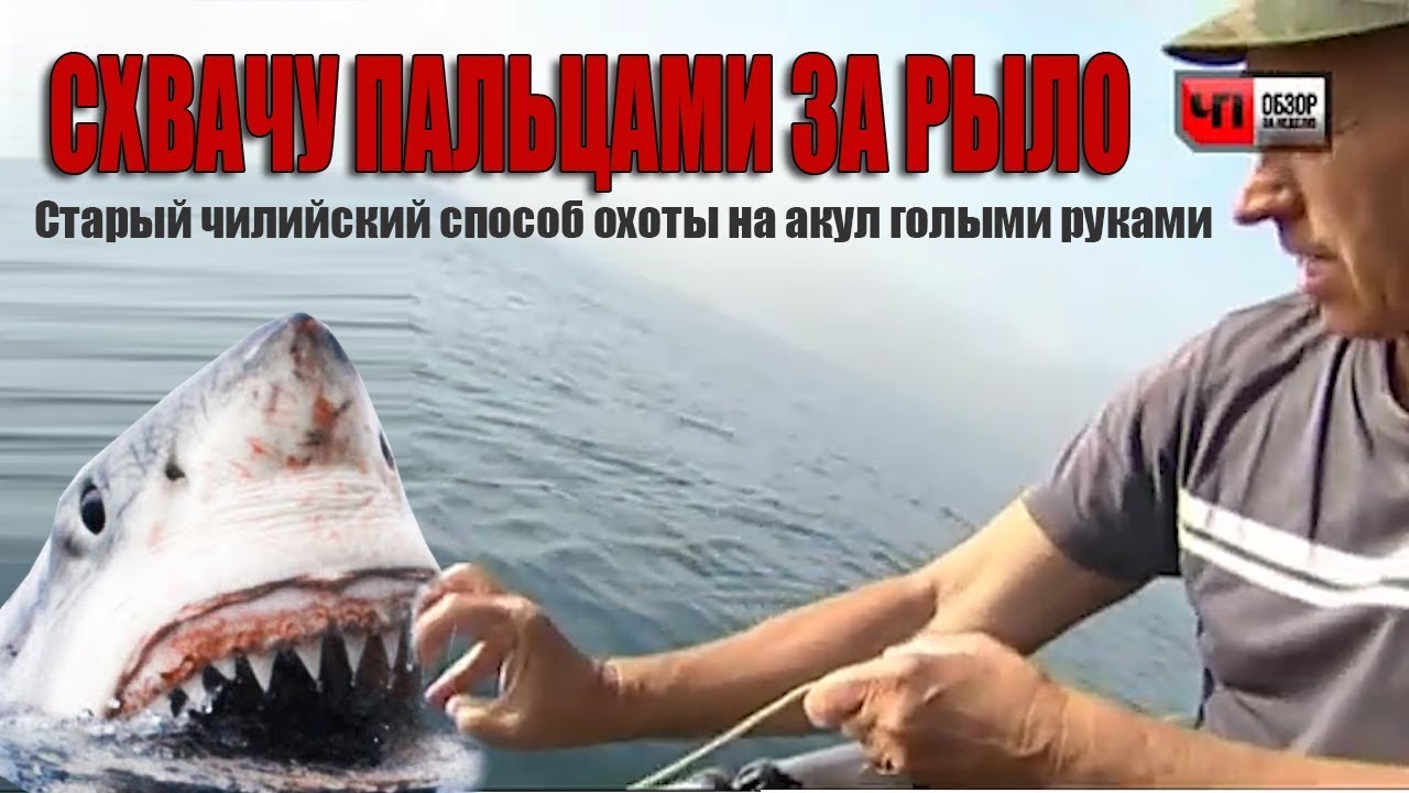 Покажи мерседес акулу