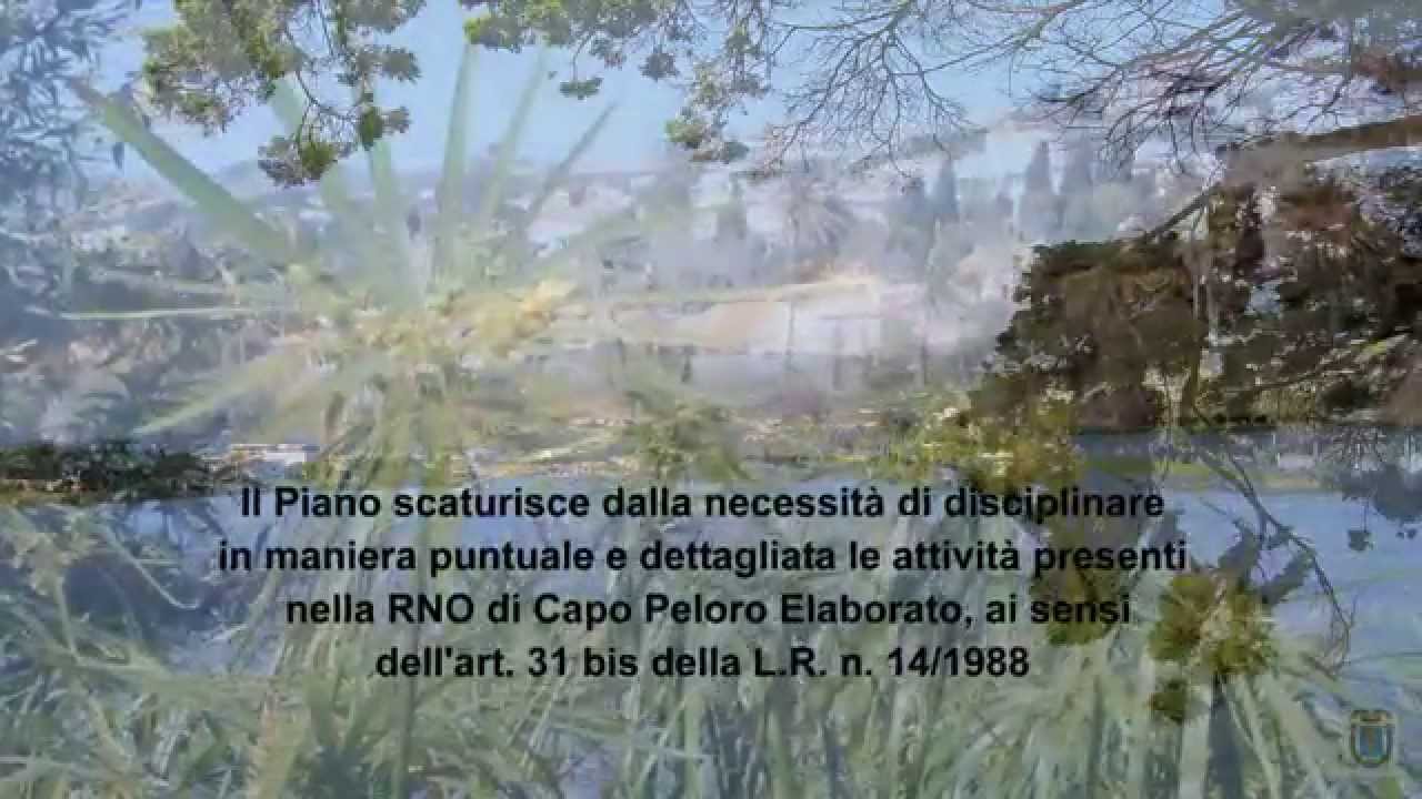 RISERVA NATURALE ORIENTATA LAGUNA DI CAPO PELORO YouTube