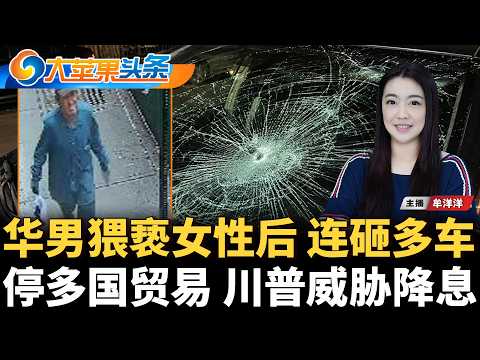 纽约男子情绪失控遭击毙；又是惯犯 纽约华社男子连砸多车被捕；纽约市今夏枪杀案创新低；更名成瘾 川普“美国湖”帽热卖；川普施压 不降息就终止多国贸易；援美 韩国拟出军霍尔木兹海峡《大苹果头条》09/04