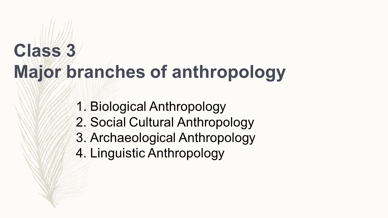 How Is Biological Anthropology Different From Cultural Anthropology?