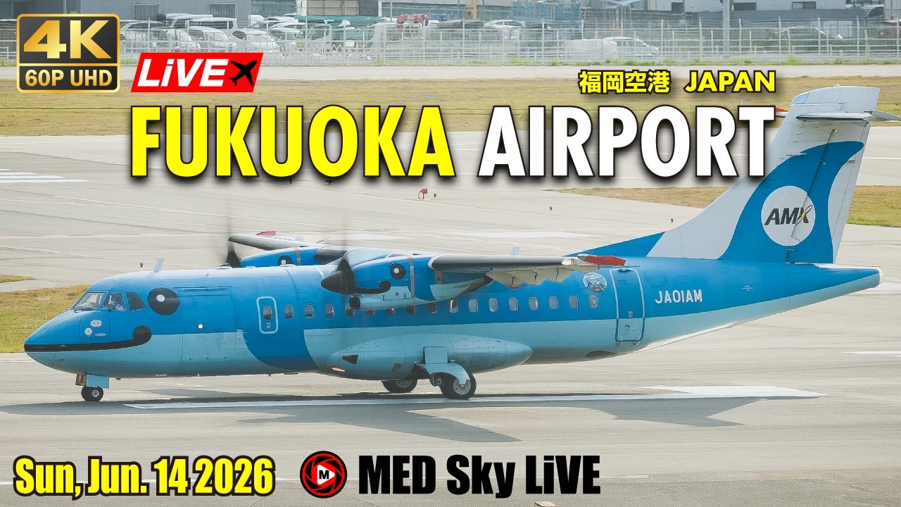 🔴4K60p LiVE Fukuoka (Japan) Airport Plane Spotting✈️6/14 福岡