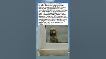 I Opened My Car Door And He Knew He Was Safe ❤️ #shorts