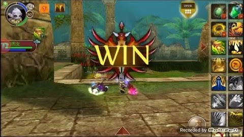 Order and Chaos Online:Mixed PvP Healer/Ele Mage