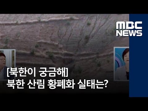 [북한이 궁금해] 북한 산림 황폐화 실태는? / MBC 통일전망대 (2018년 5월 19일)