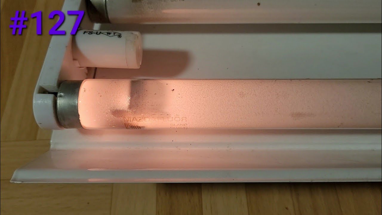 Tube Fluorescent MAZDA Blanc Industrie - Modèle CF 40/BI, Neuf, Pour éclairage Atelier