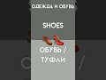 Одежда на Английском: Базовые Слова #английский #одежда