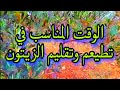 موعد تطعيم وتقليم أشجار الزيتون موعد تطعيم وتقليم أشجار الزيتون