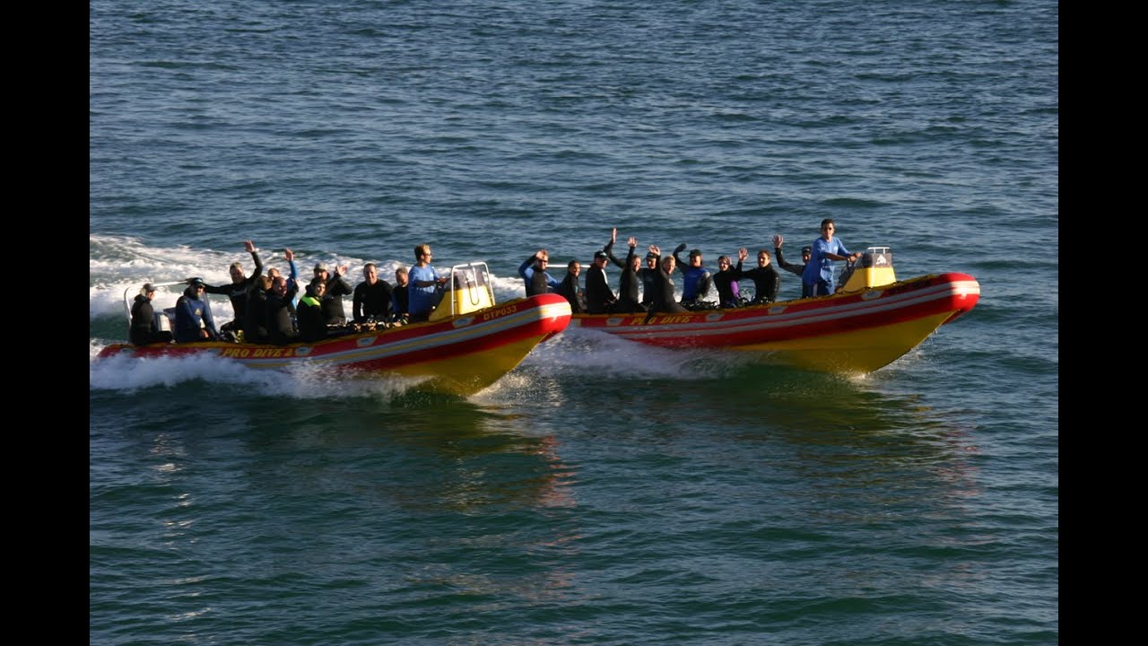 ProDive Port Elizabeth & Plettenberg Bay