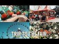 del mar fair 2019 VLOG | parakeets, fried food, pig races, more!